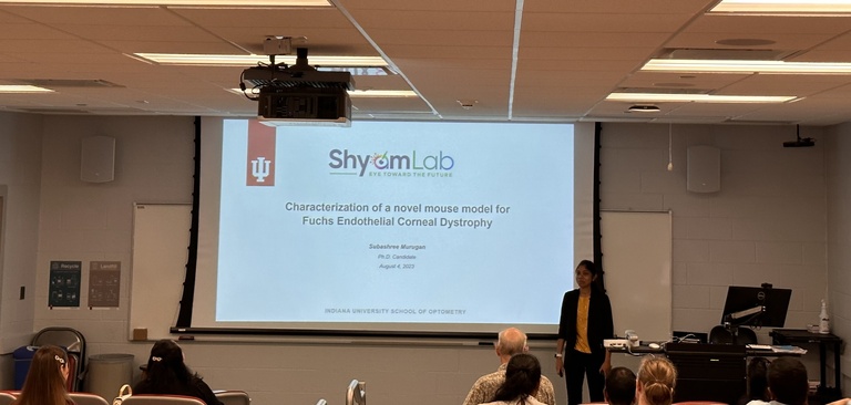 Subashree's talk at Heartland vision science symposium
